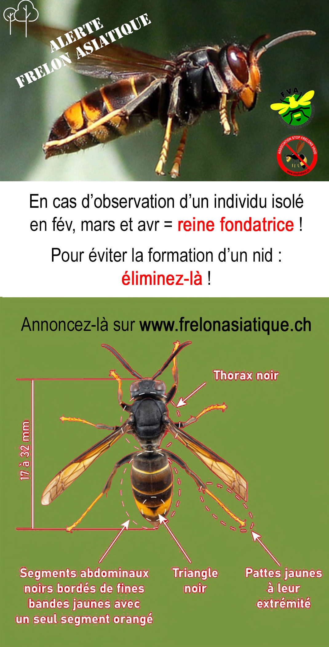 flyer fev fusionné Page 1